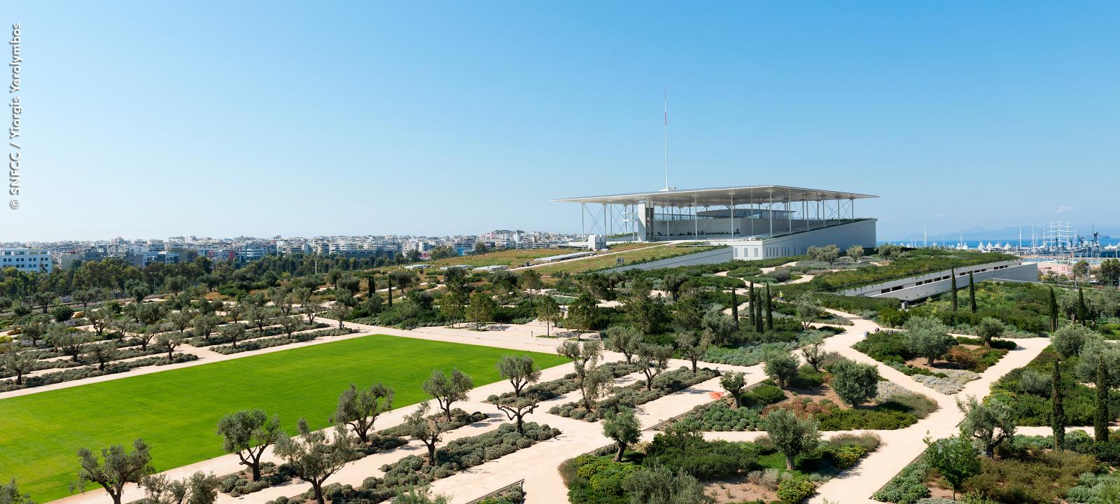 Mediterranean roof garden with olive trees